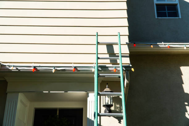 Best Brick Veneer Siding  in Westby, WI
