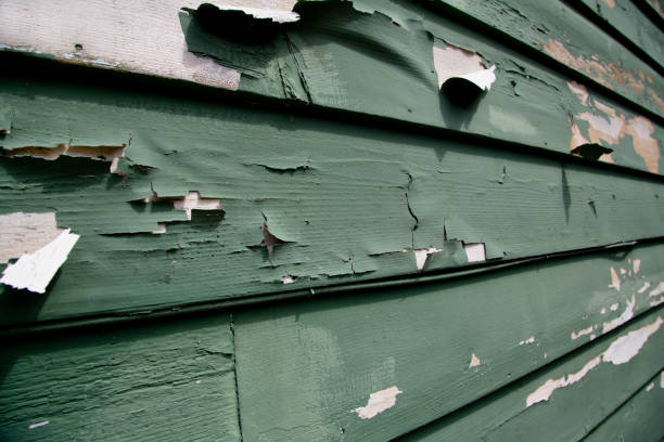 Best Custom Siding Design  in Westby, WI
