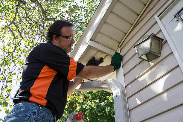 Best Storm Damage Siding Repair  in Westby, WI